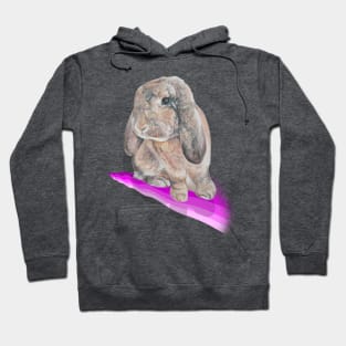 Gorgeous painting of a French lop bunny! Hoodie